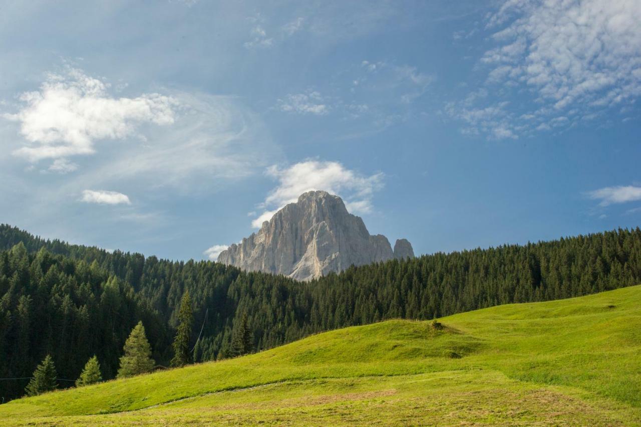 Villa Insam Selva di Val Gardena Exterior foto